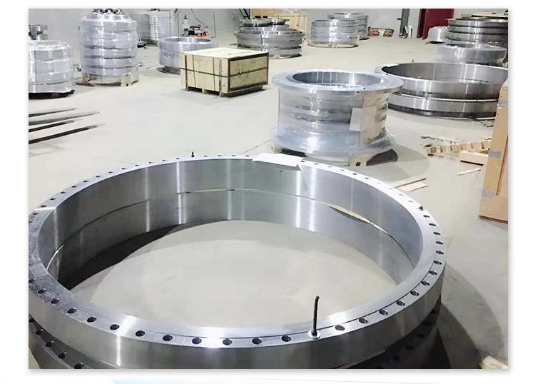 Stainless Steel Pipe Flanges Ring Long Welding Neck Anchor Flange