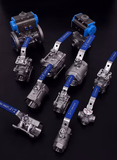 Sanitary Stainless Steel Pipe Fittings Tube Fittings/Elbow/Ferrule with 3A