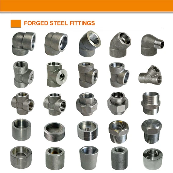 SS304/316L Weld Olet Forged Steel Pipe Fittings in 2000lbs 3000lbs 6000lbs