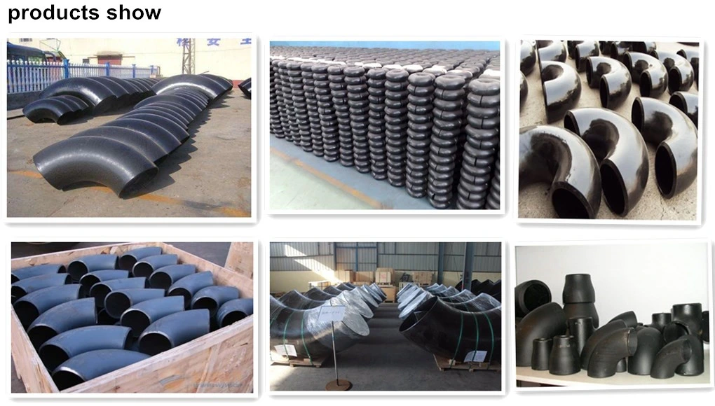 Forged Carbon/Stainless Steel Welding Neck/Blind/Slip on/Lap Joint/Flat Plate/Socket RF/FF Pipe Flanges