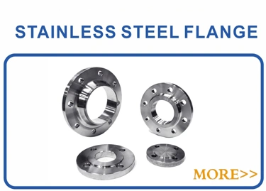 ANSI B16.5 F316/L 304 Forged Stainless Steel Lap Joint Flange Socket Welding Flange for Connection