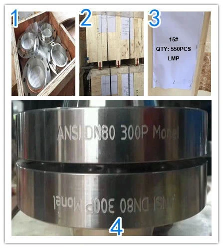 ANSI/DIN/En1092-1/BS/JIS Forged Carbon/Stainless Steel Pn10/Pn16 Welding-Neck/Blind/Slip-on/Flat-Plate/Socket-Weld/Threaded RF/FF/Rtj Pipe Flange