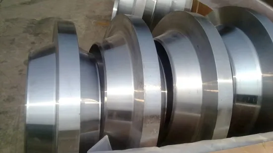 DN250 10 Inch A105 Carbon Steel Anchor Flange